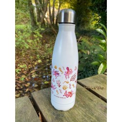 gourde bouteille inox 500ml - zéro déchet - design exclusif nawak boutik - impression française