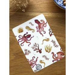 Carte postale Pieuvres